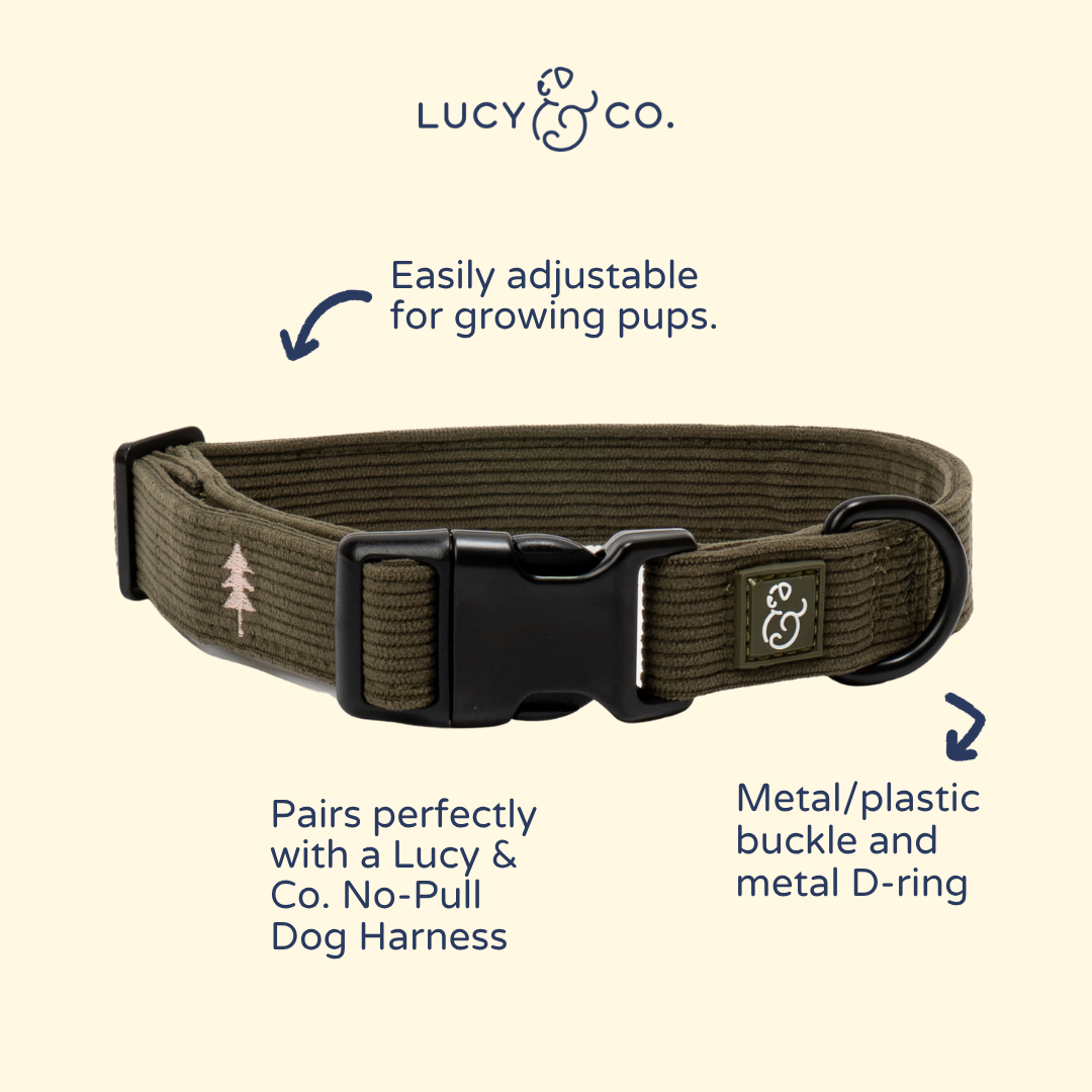 Lucy &amp; Co. - Take a Hike Corduroy Collar