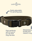 Lucy & Co. - Take a Hike Corduroy Collar