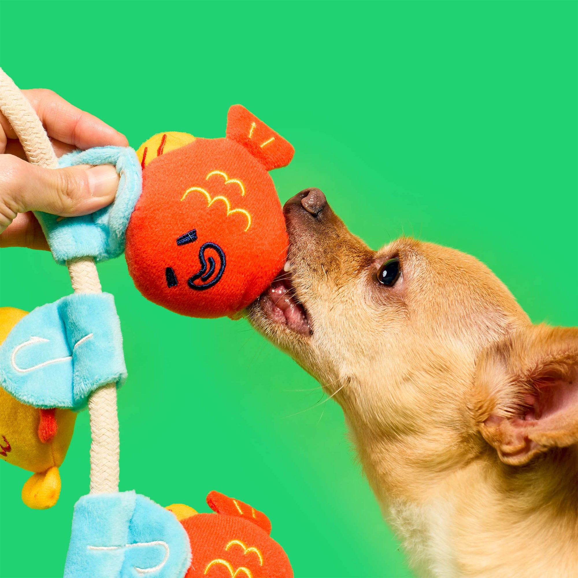 the furryfolks - Fishing Nosework &amp; Tug Toy