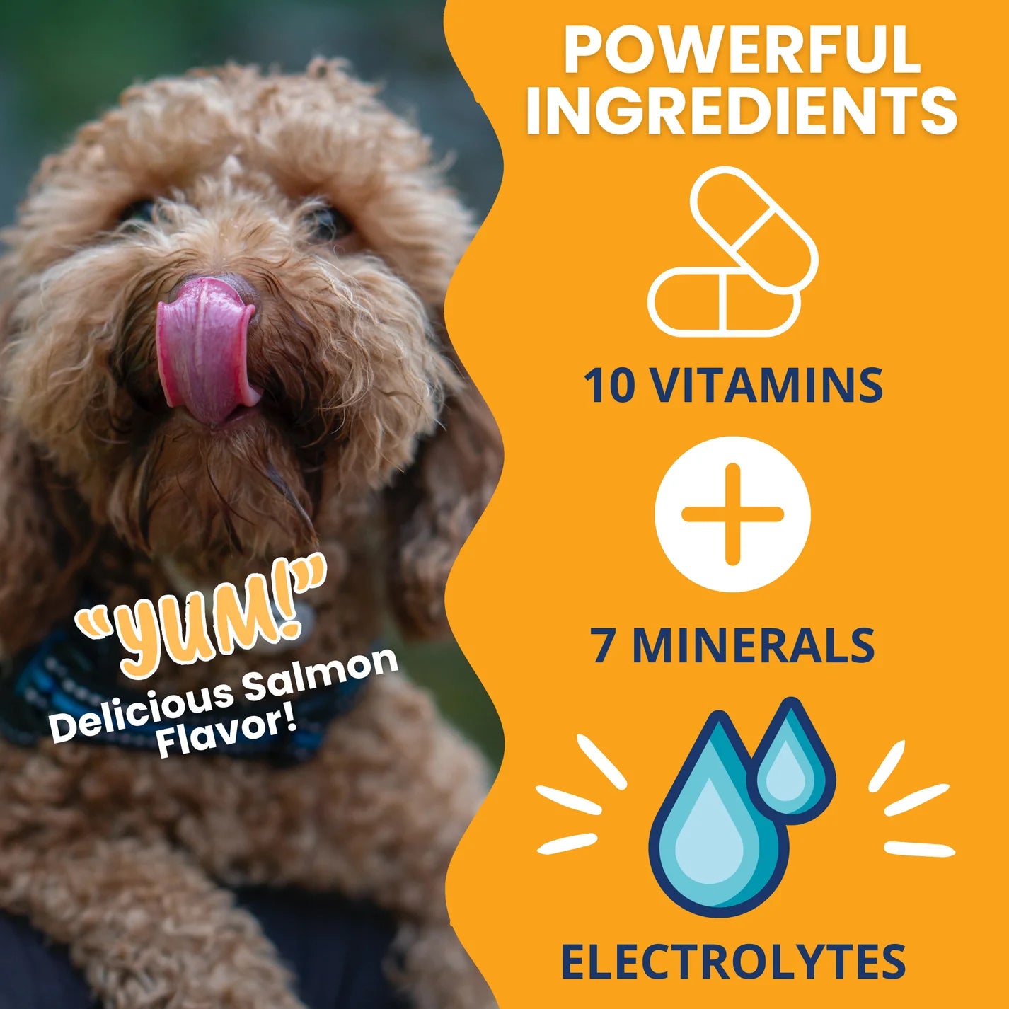 Under the Weather Ready Cal® PLUS Electrolytes for Dogs