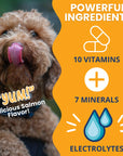 Under the Weather Ready Cal® PLUS Electrolytes for Dogs