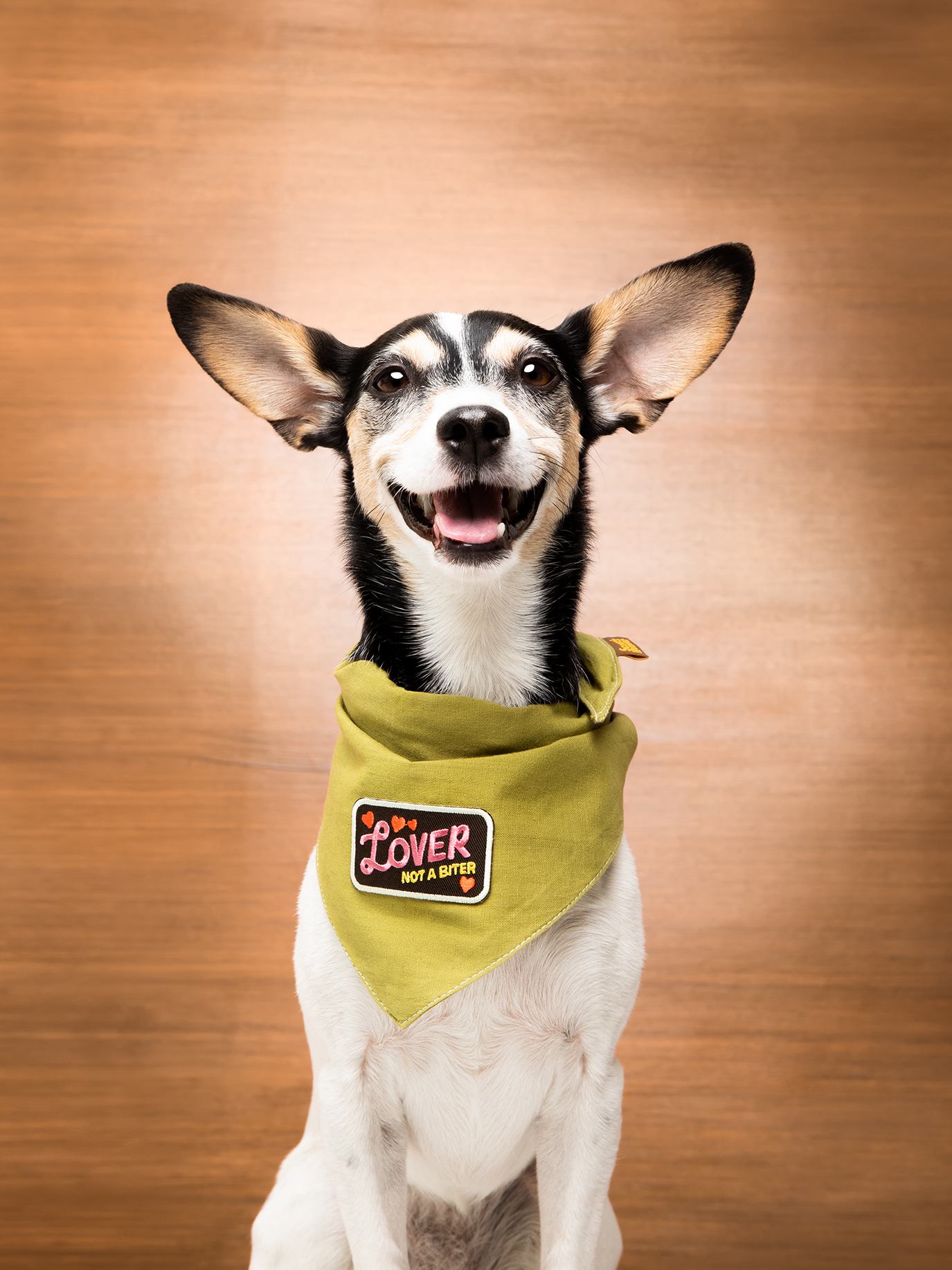 Scout's Honour Pty Ltd - Lover not a Biter iron-on patch for dogs and cats