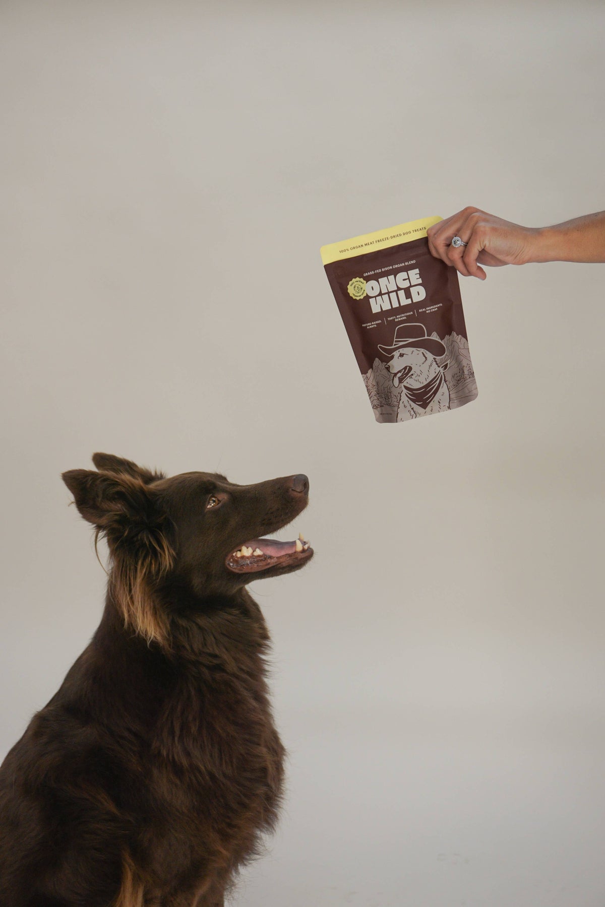 Once Wild - Bison Organ Blend Treats