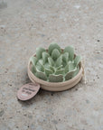 dexypaws - Planter Slow Feeder