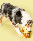 the furryfolks - Happy Bear Tofino Nosework Toy