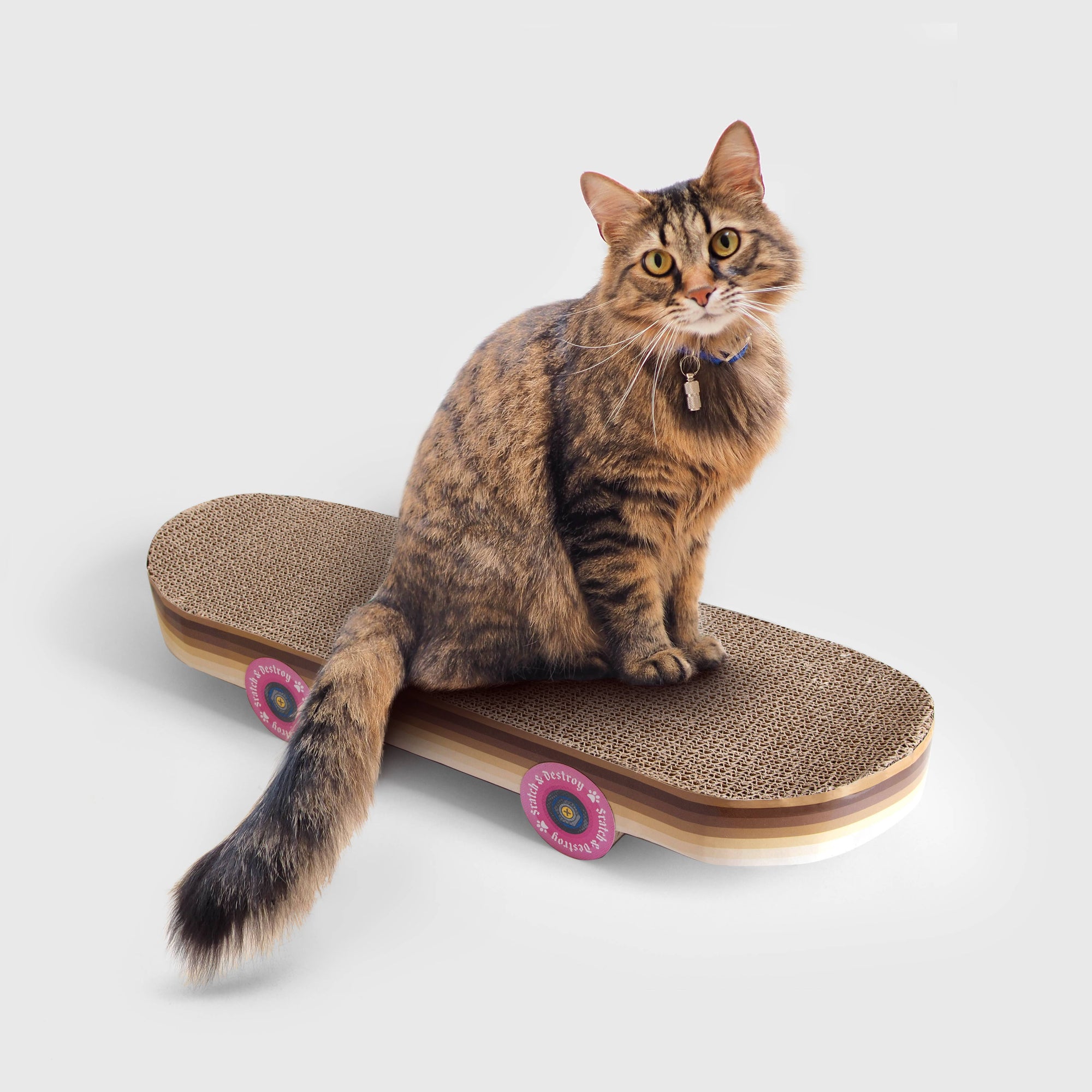 SUCK UK Ltd - USA - Cat Toy Scratch Skateboard - Cool carboard cat scratcher