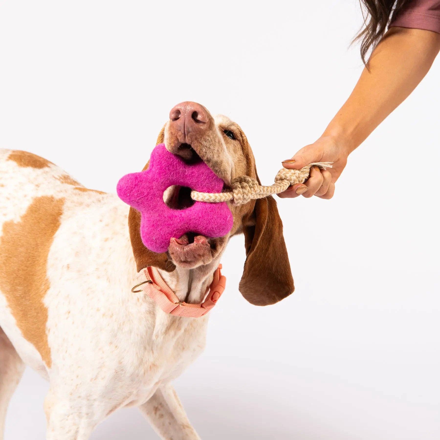 Awoo - Pullin' Posies Felt Wool Toy