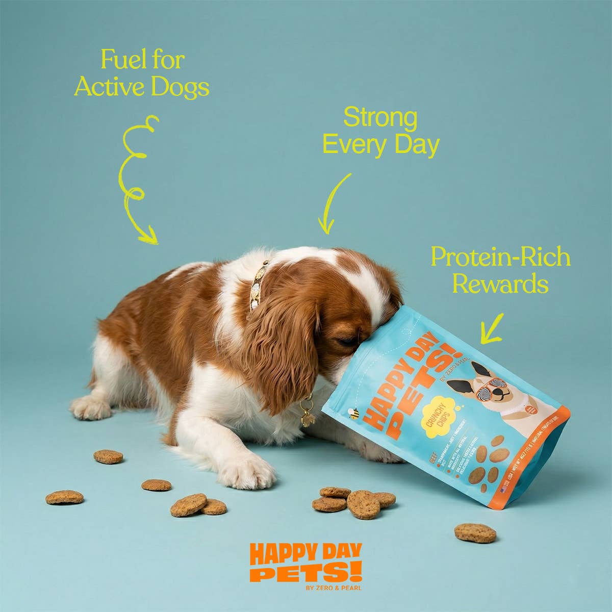 Happy Day Pets - Happy Day Pets Beef Chips Dog Treats | 100% Whole Beef