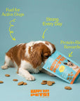 Happy Day Pets - Happy Day Pets Beef Chips Dog Treats | 100% Whole Beef