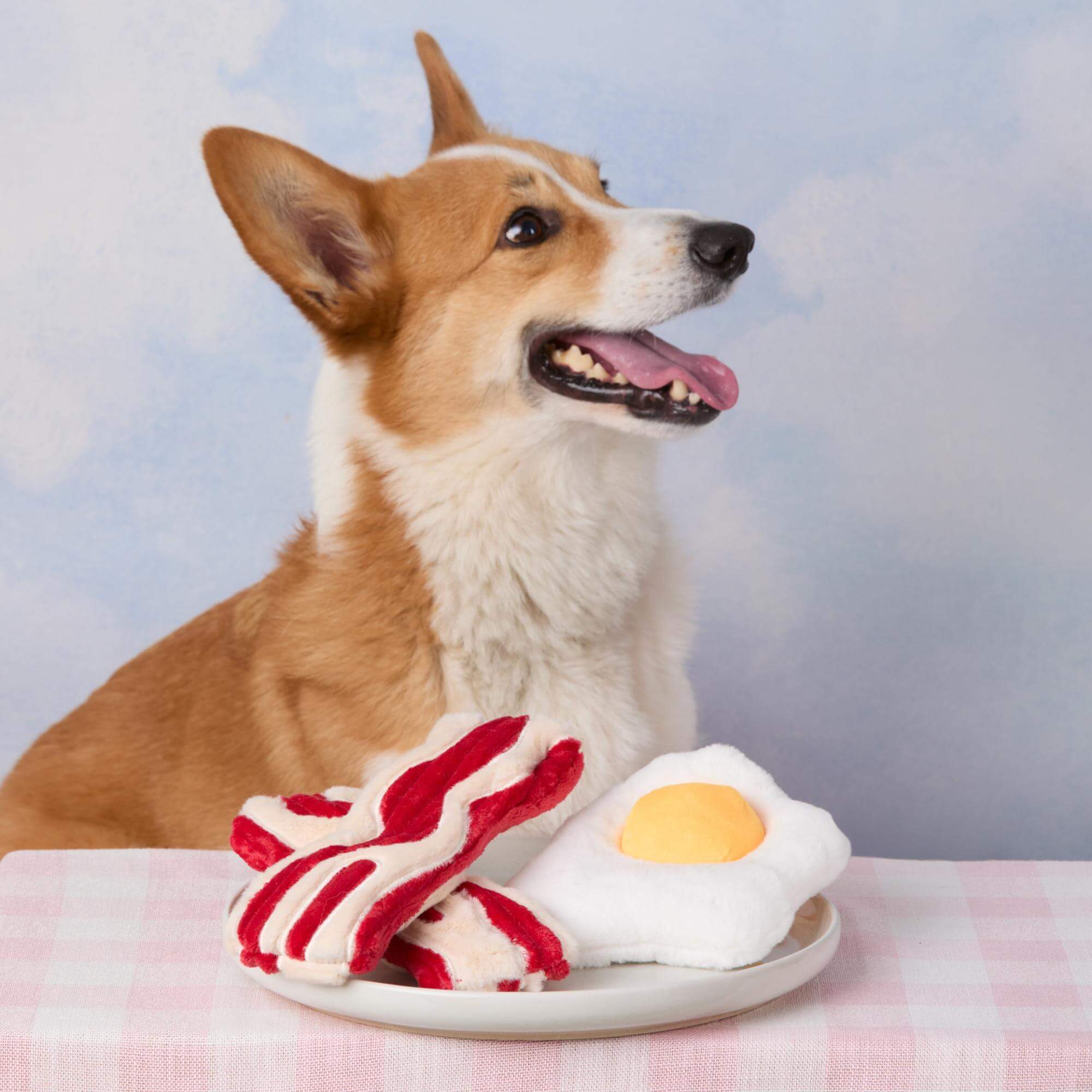 The Foggy Dog - Bacon and Egg Interactive Toy Set