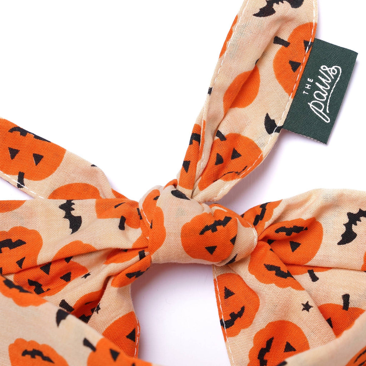 The Paws - Pupkin Halloween Dog Bandana