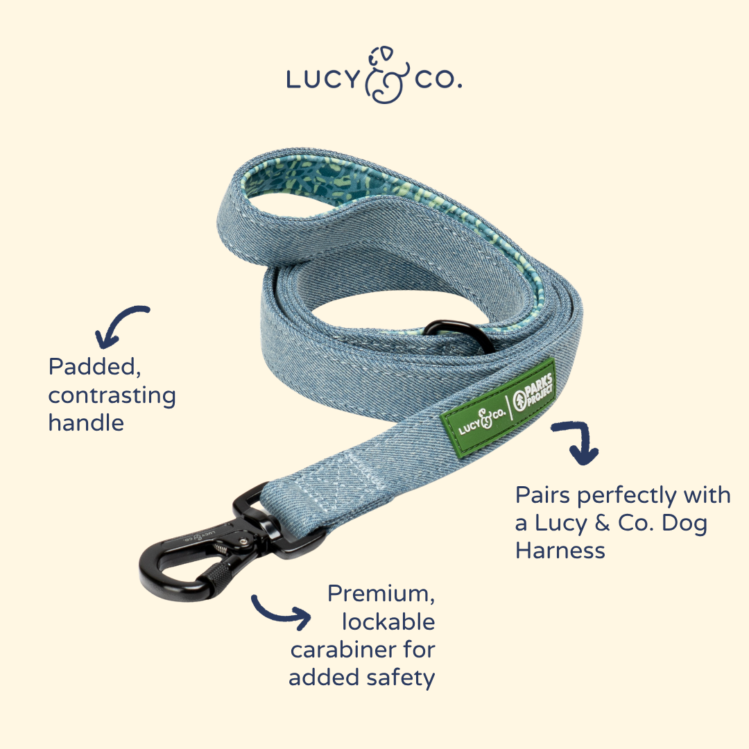 Lucy &amp; Co. - Lucy &amp; Co. x Parks Project Adventures with Friends Leash