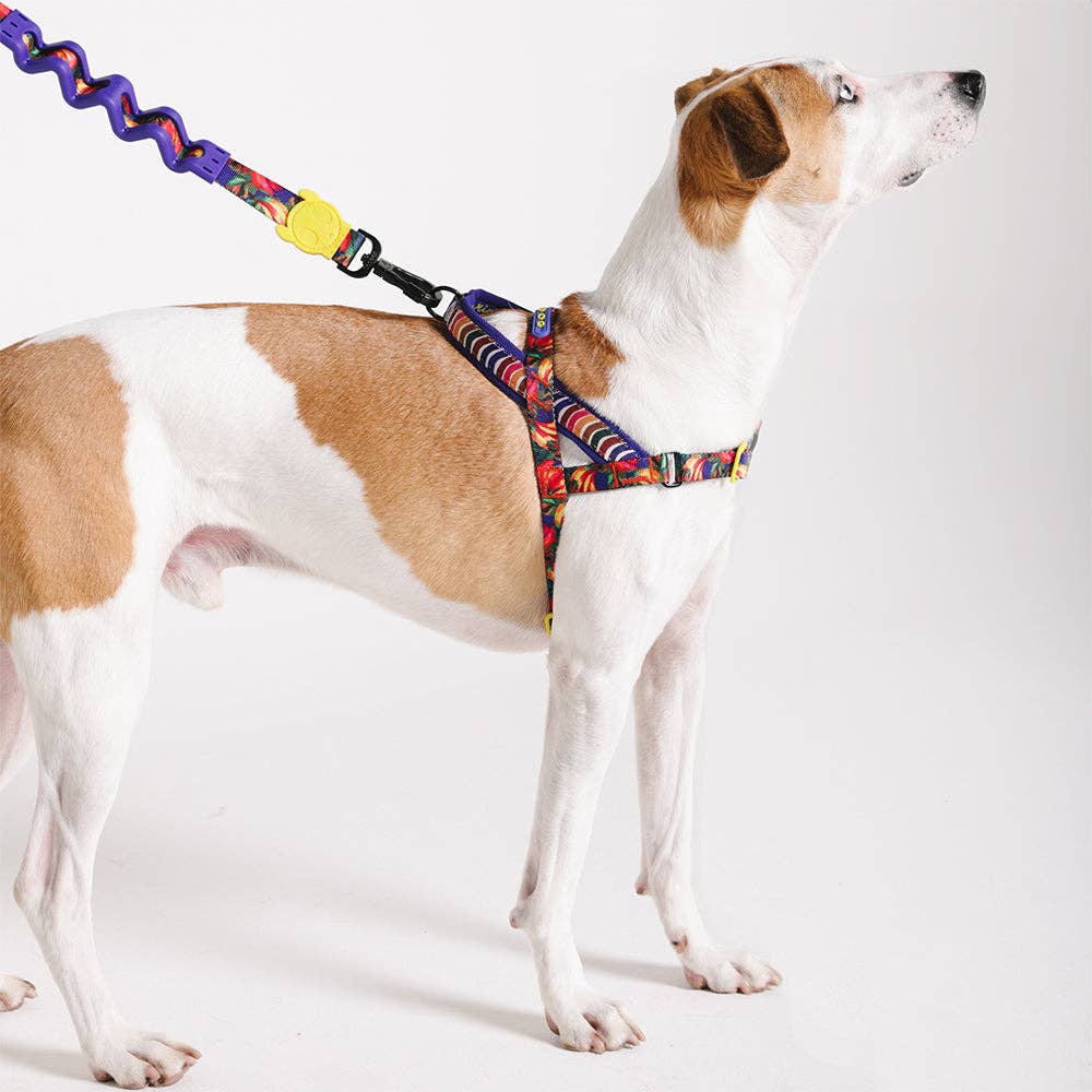 Zee.Dog - Samba | SofterWalk Harness: Large