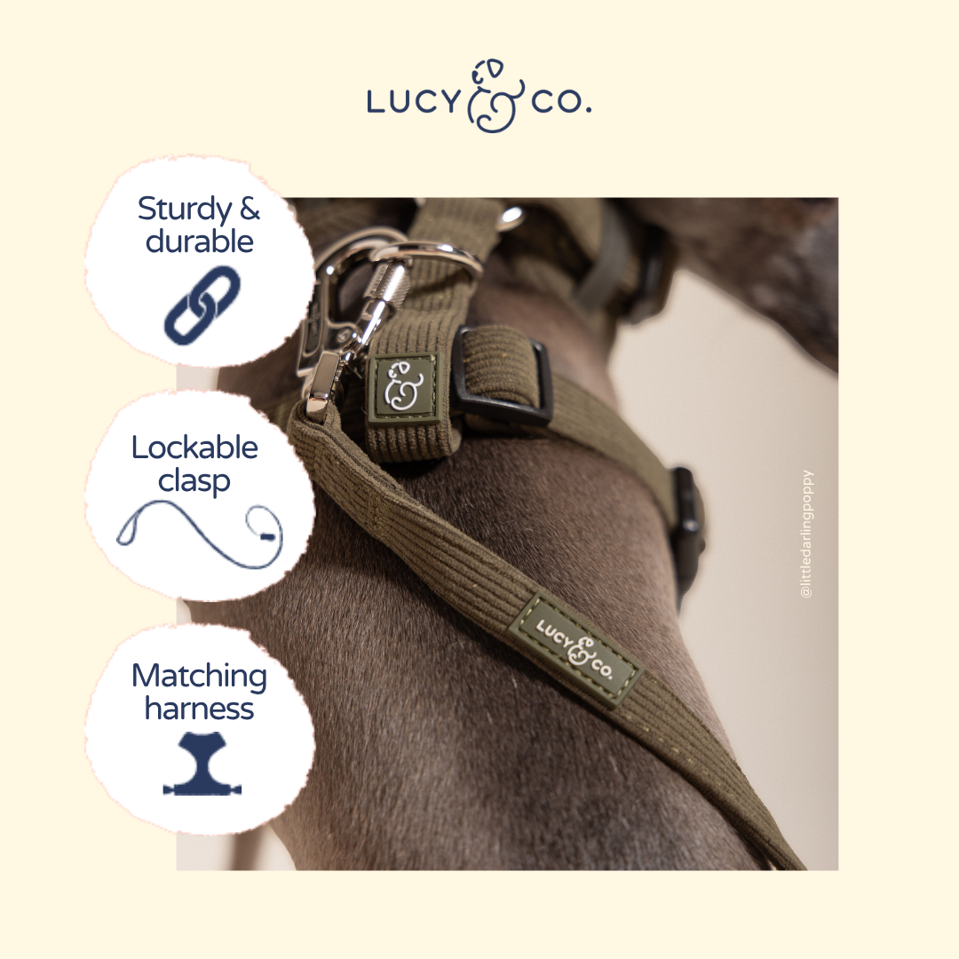 Lucy &amp; Co. - Take a Hike Corduroy Leash
