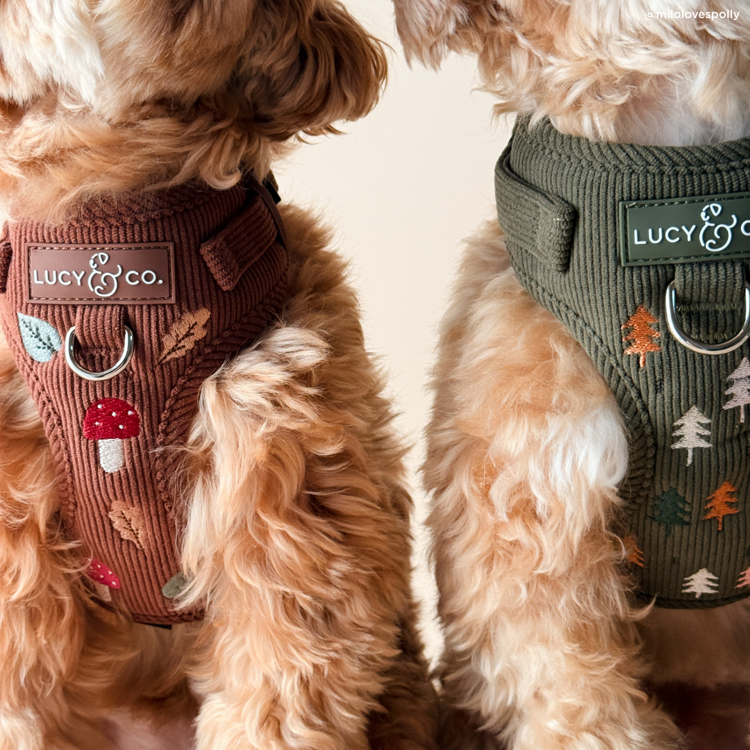 Lucy &amp; Co. - Take a Hike Corduroy No-Pull Harness