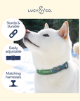 Lucy & Co. - Lucy & Co. x Parks Project Power to the Parks Collar
