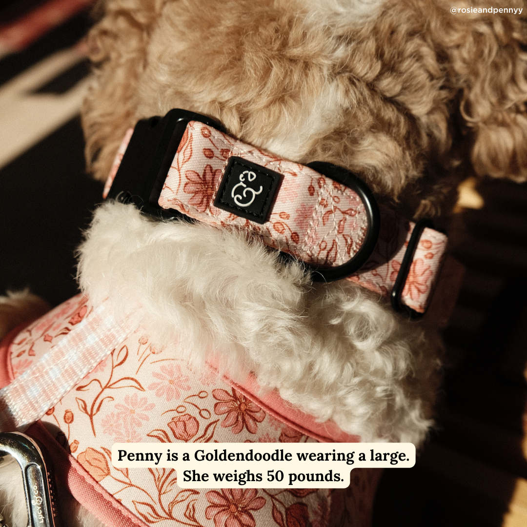 Lucy &amp; Co. - Woodland Wildflowers Collar