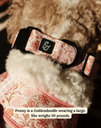 Lucy & Co. - Woodland Wildflowers Collar