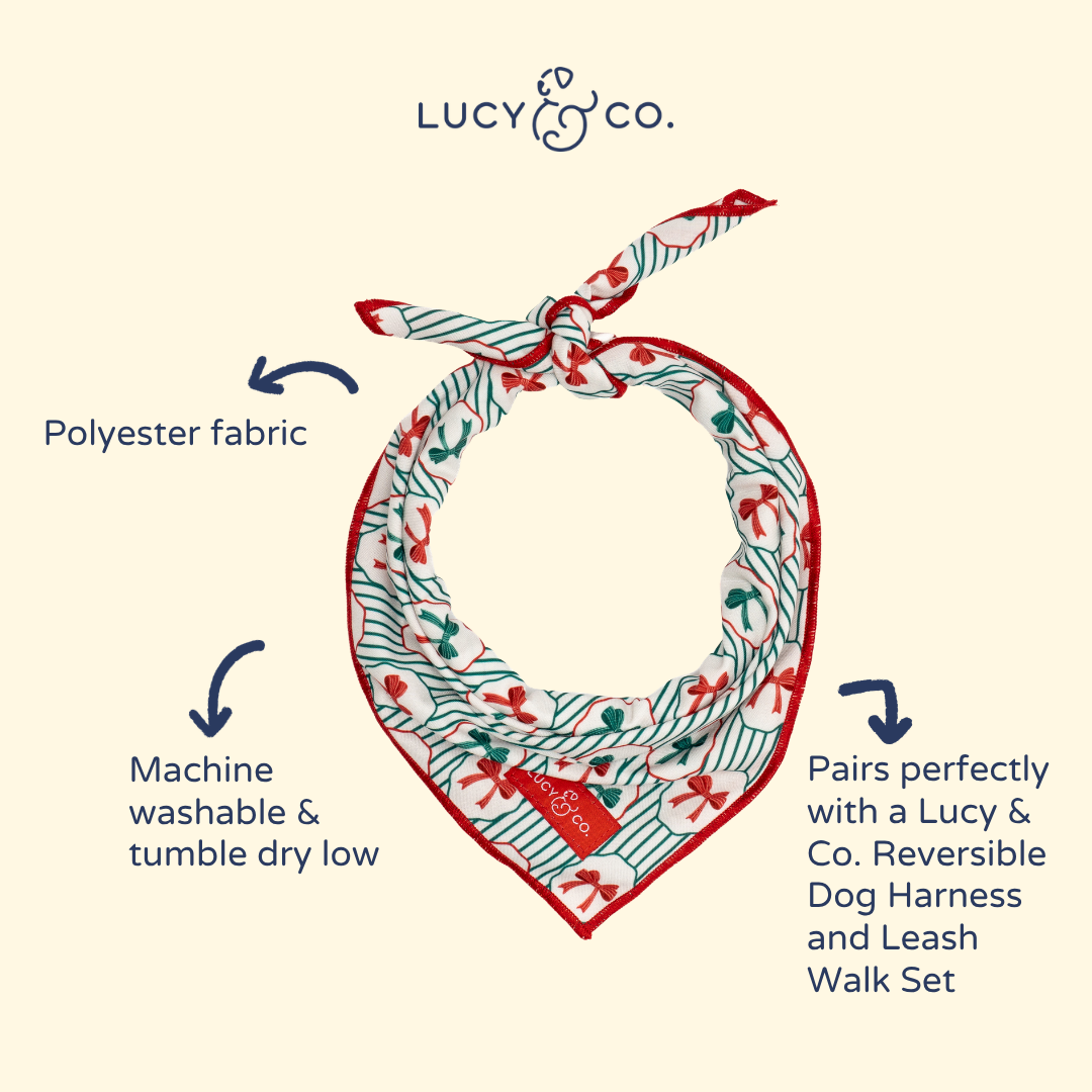 Lucy &amp; Co. - Wrap it Up Bandana