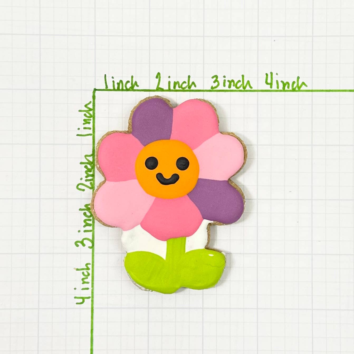 Lucky Biscuit Pet Bakery - Colorburst Spring Bloom Collection: Rainbow Petal Daisy