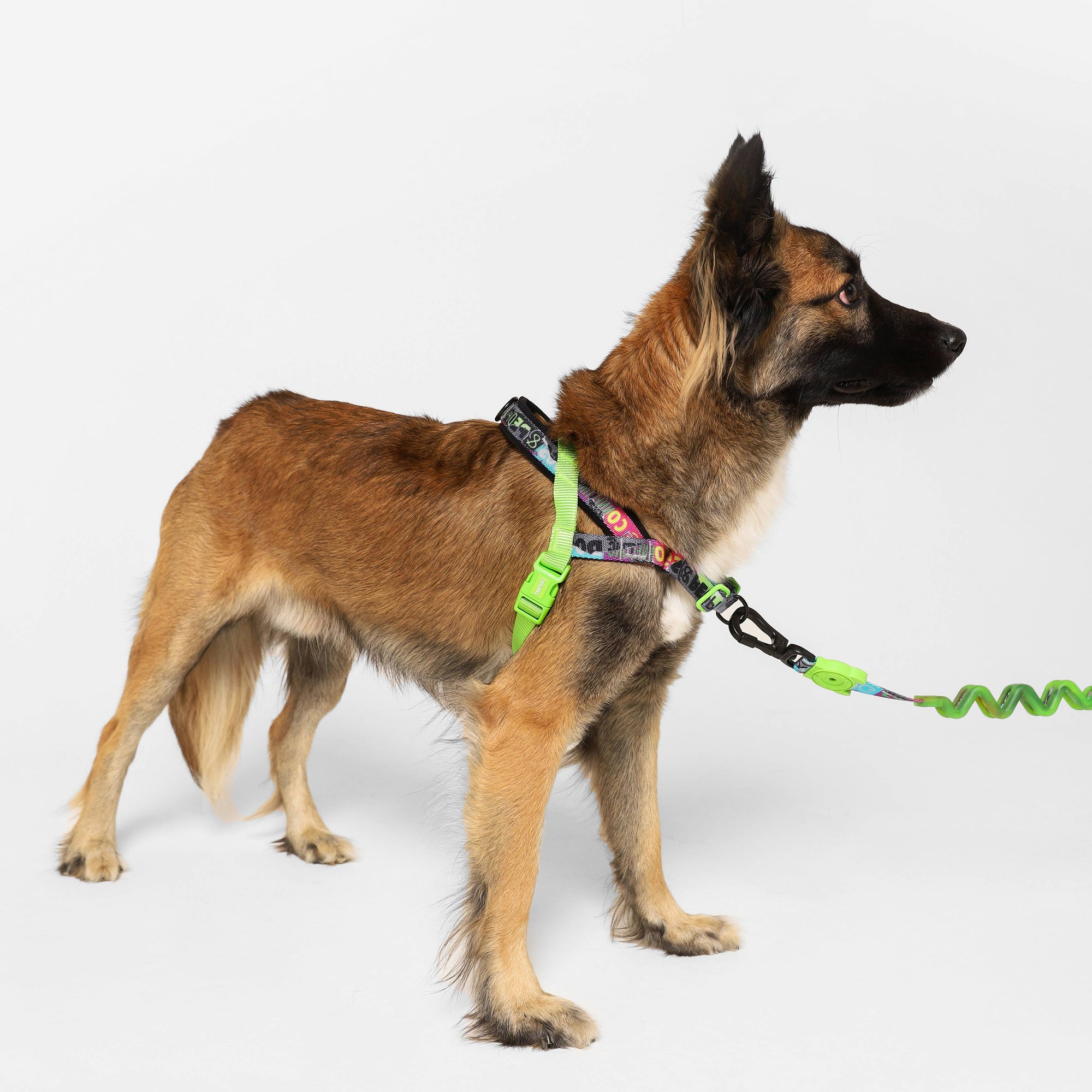 Zee.Dog - Manifesto | SofterWalk Harness: Medium