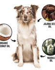 PRIDE + GROOM - DOGDAYS De-Shedding Shampoo Gallon