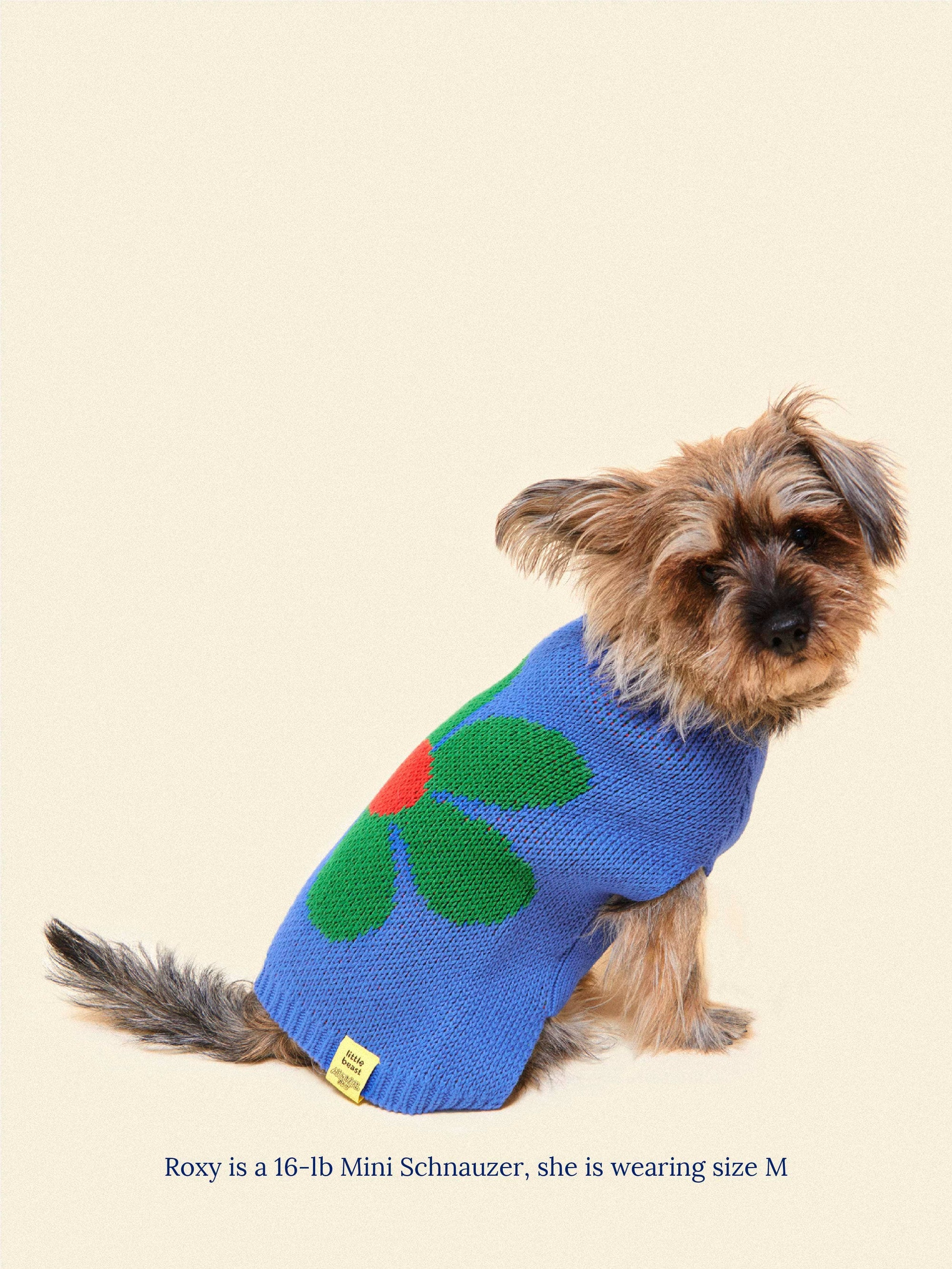Little Beast - Painkiller Daisy ✿ x Memorial Day Sweater