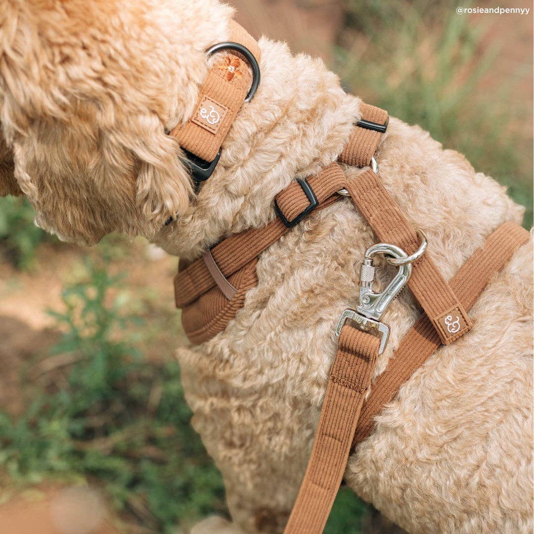 Lucy &amp; Co. - Chocolate Meadows Corduroy No-Pull Harness