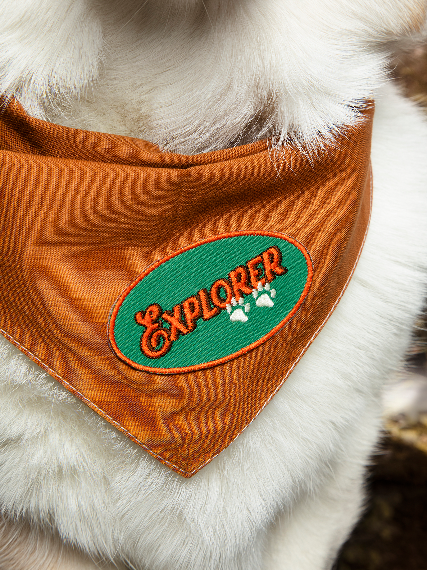 Scout's Honour Pty Ltd - Explorer iron-on patch for dogs and cats