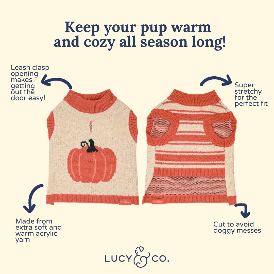 Lucy &amp; Co. - Oh My Gourd Sweater