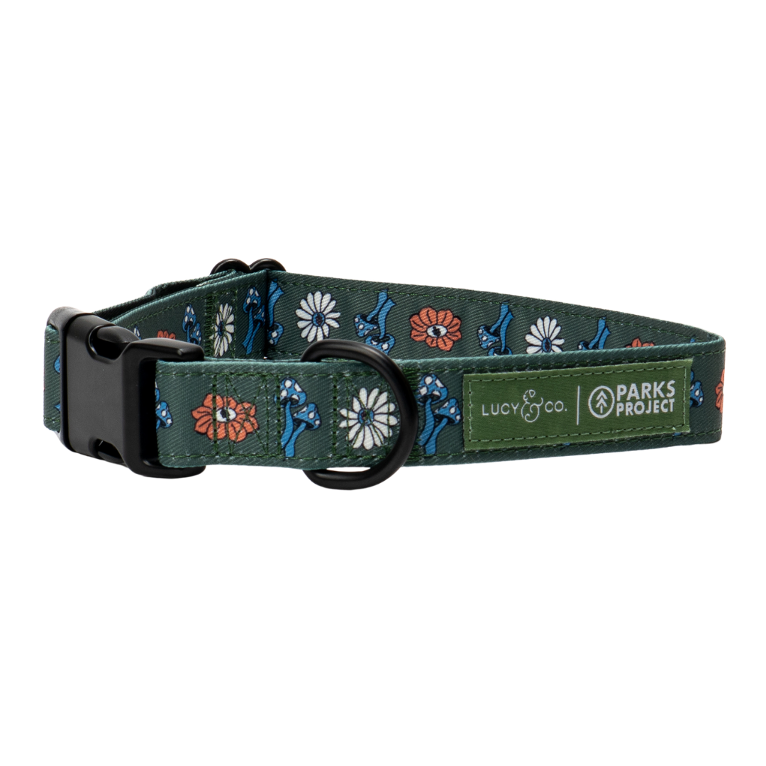 Lucy &amp; Co. - Lucy &amp; Co. x Parks Project Power to the Parks Collar