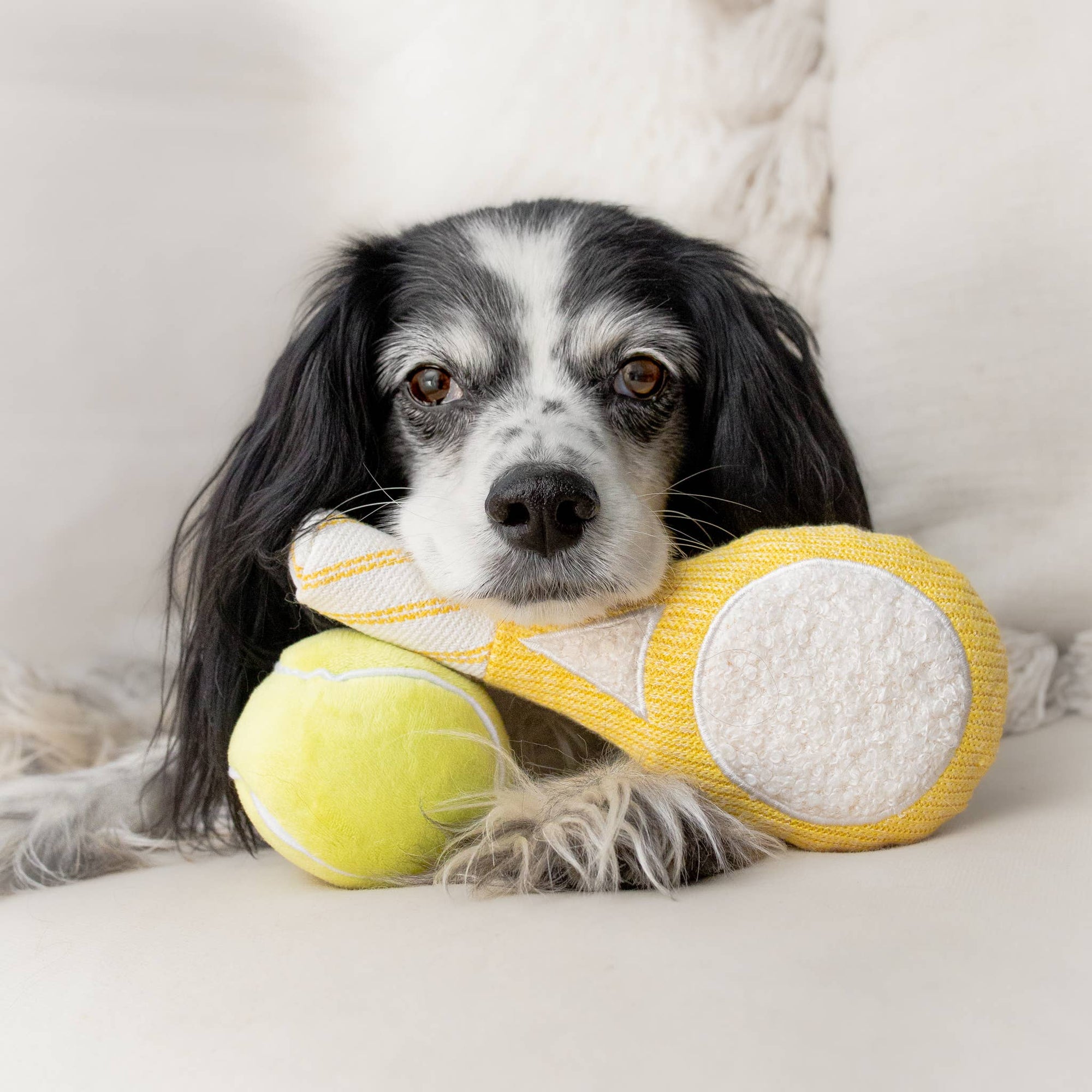 Lambwolf Collective - TENNIS POP // ENRICHMENT DOG TOY // Squeaky Ball Set