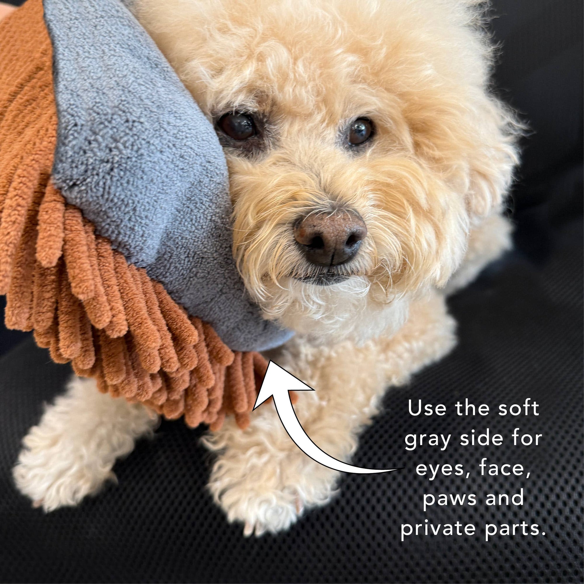 PRIDE+GROOM - THE MAGIC  MITT