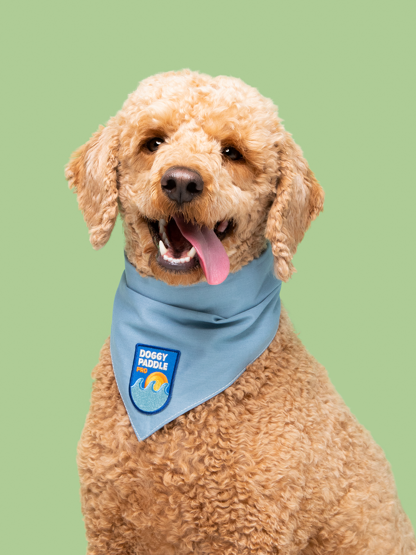 Scout's Honour Pty Ltd - Doggy Paddle Pro iron-on patch for dogs
