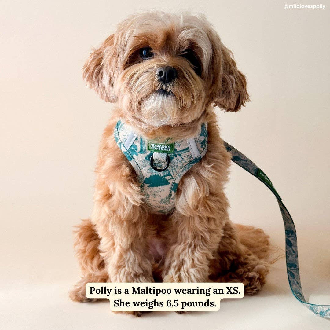 Lucy &amp; Co. - Lucy &amp; Co. x Parks Project Sequoia Seedlings No-Pull Harness