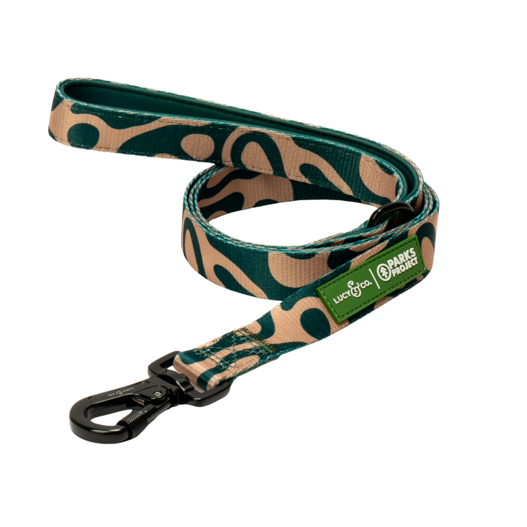 Lucy &amp; Co. - Lucy &amp; Co. x Parks Project Geyser Leash