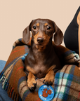 Scout's Honour Pty Ltd - Wildlife Watch iron-on patch for dogs and cats