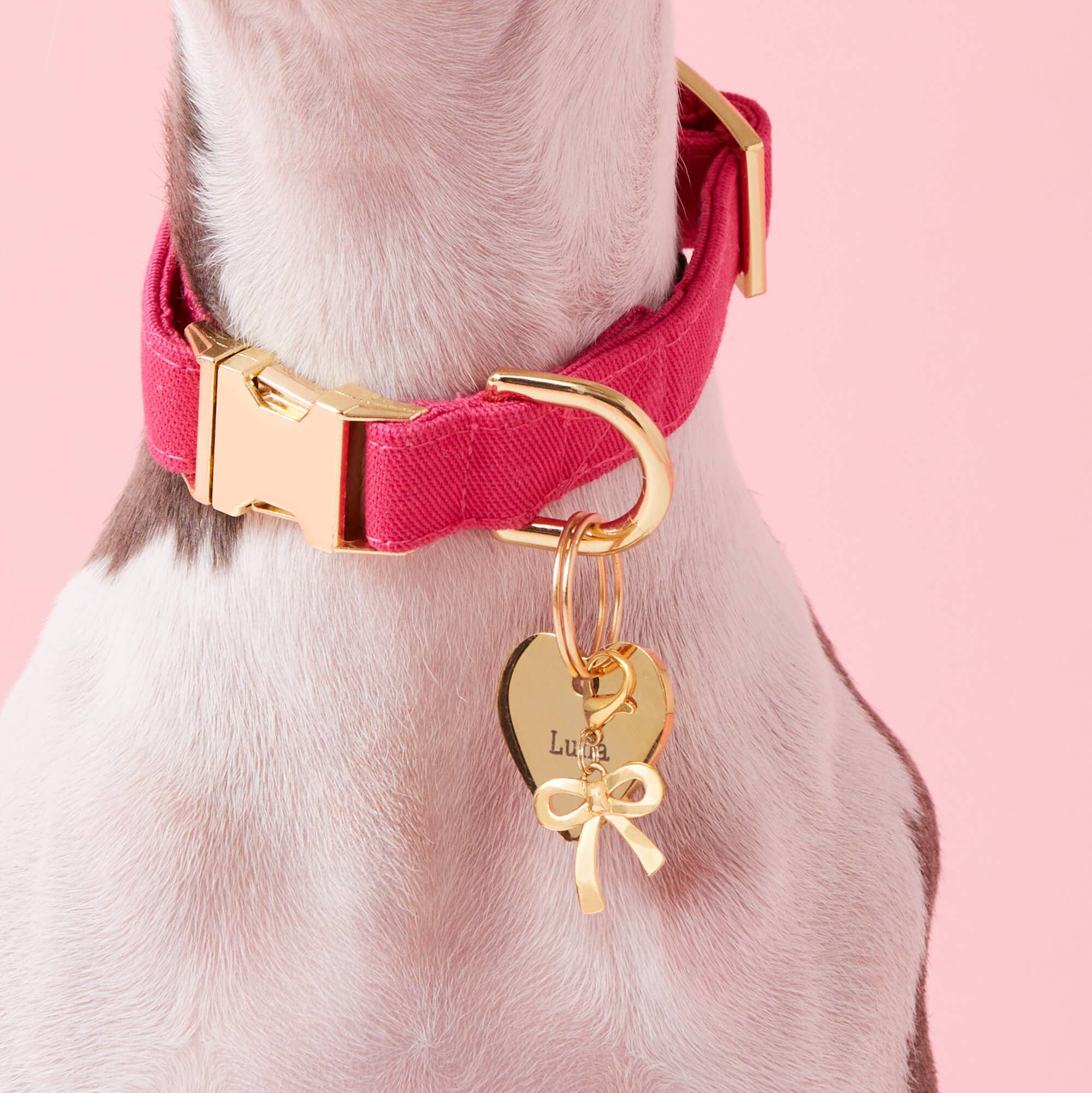 The Foggy Dog - Gold Bow Collar Charm: Charm Only