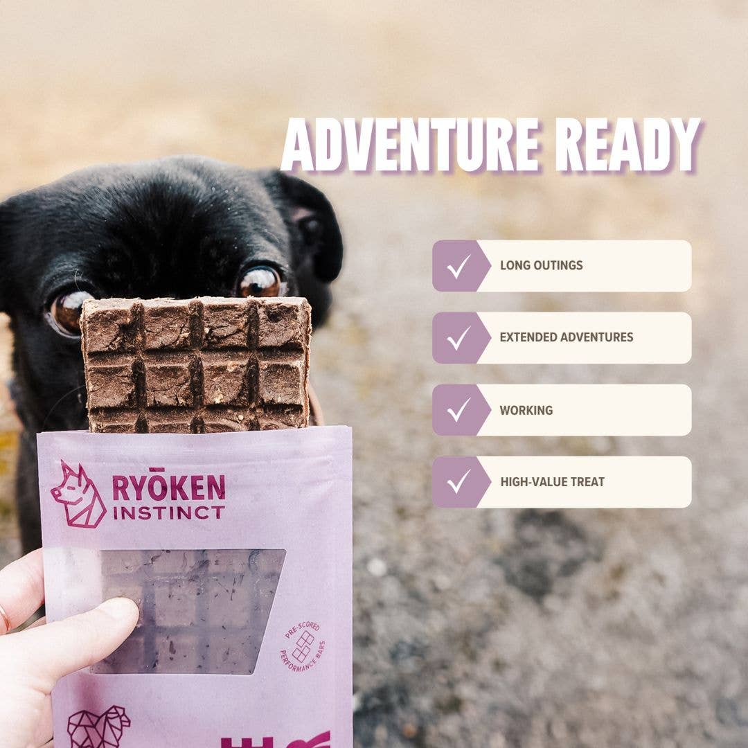 RYŌKEN INSTINCT - Lamb Treat &amp; Snack Bar for Active Dogs - Energy &amp; Recovery