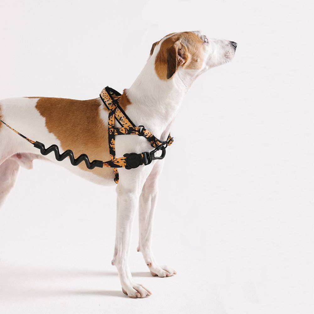Zee.Dog - Bossa Banana | SofterWalk Harness: Large