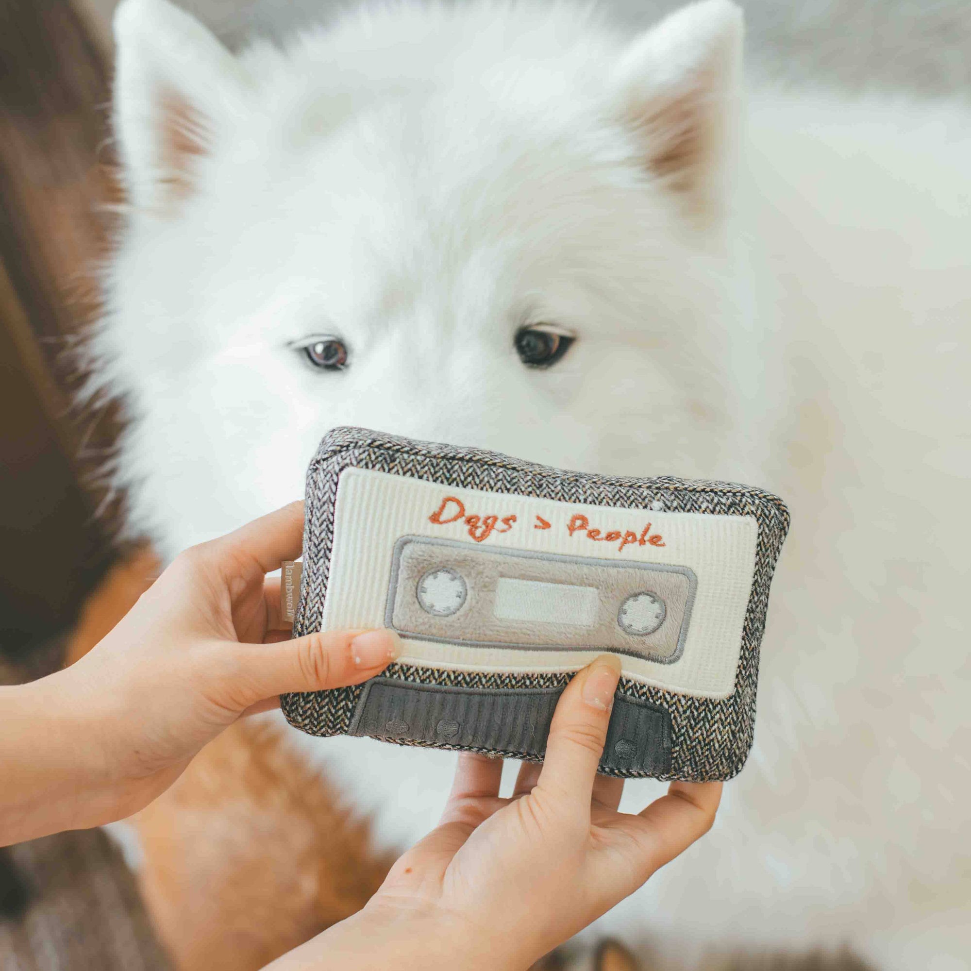 Lambwolf Collective - CASSETTE // ENRICHMENT DOG TOY