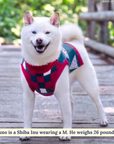 Lucy & Co. - The Oh, Christmas Tree Sweater