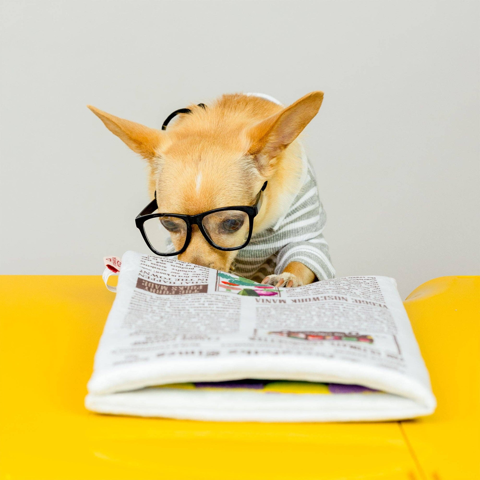 the furryfolks - Newspaper Nosework Toy