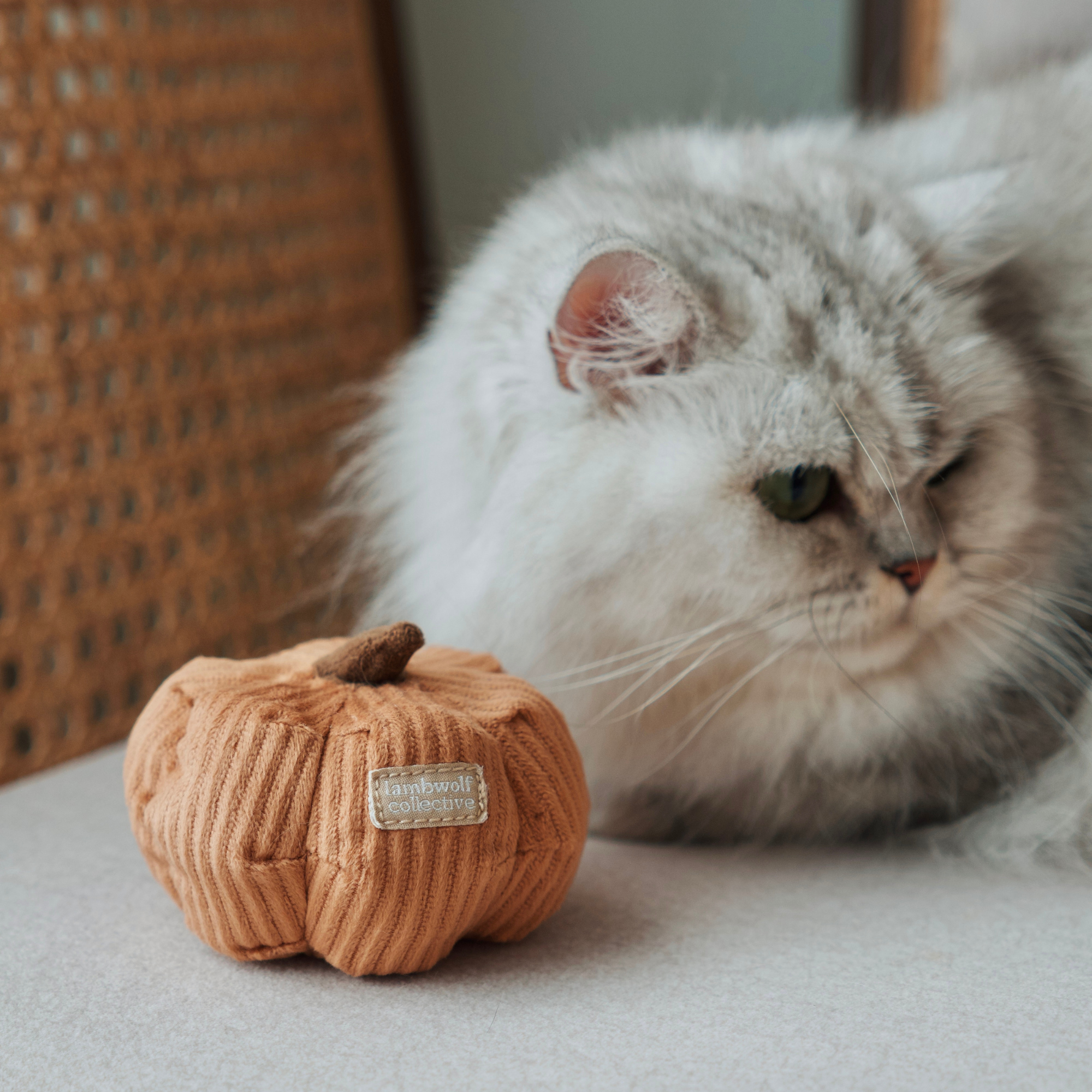 Lambwolf Collective - KITTY VEGGIE SET // CAT TOY // CATNIP