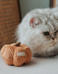 Lambwolf Collective - KITTY VEGGIE SET // CAT TOY // CATNIP