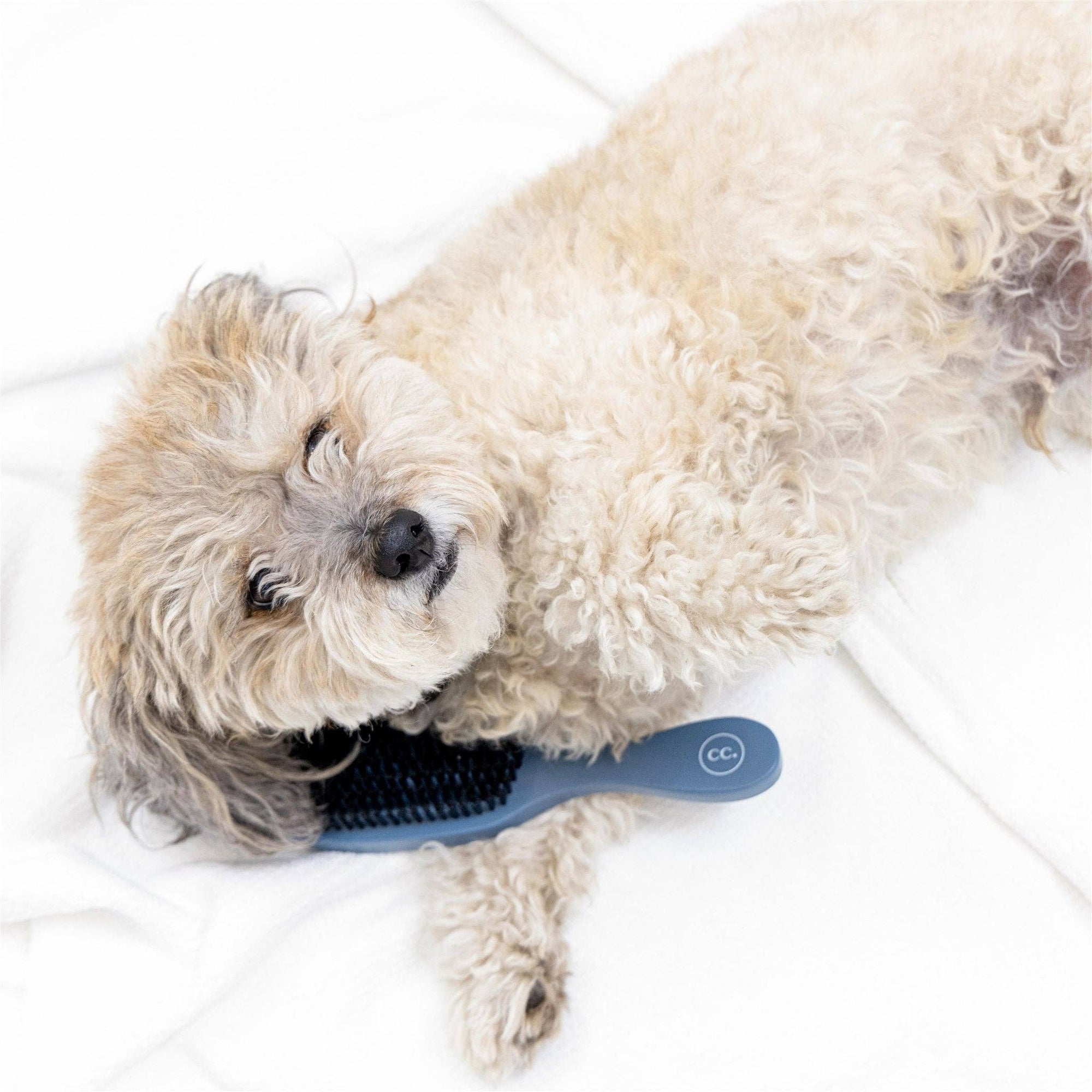 Clean Coats - Dog Brush Smooth &amp; Shine | Gentle Brush for Cats &amp; Dogs