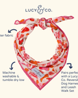 Lucy & Co. - Howdy, Honey Bandana