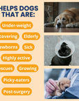 Under the Weather Ready Cal® PLUS Electrolytes for Dogs
