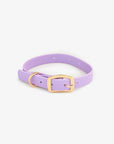 Furei - Moodies Collar: Magenta / XS