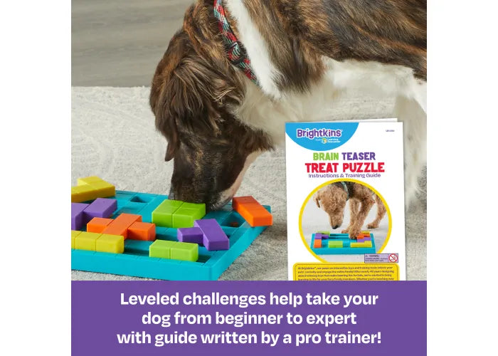 Brightkins Brain Teaser Treat Puzzle
